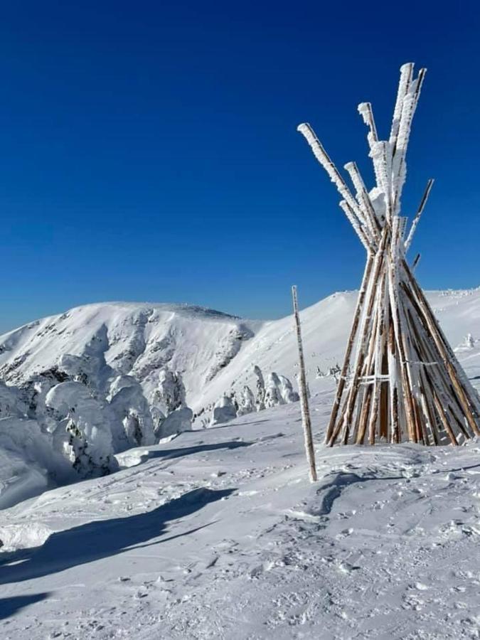 Čertovka Trojka - apartmán Harrachov Esterno foto