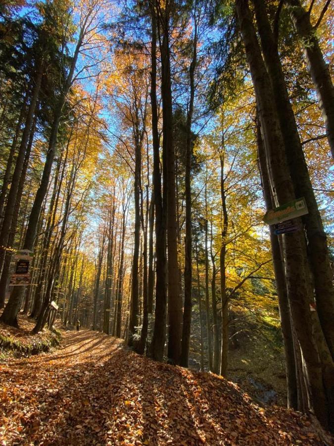 Čertovka Trojka - apartmán Harrachov Esterno foto