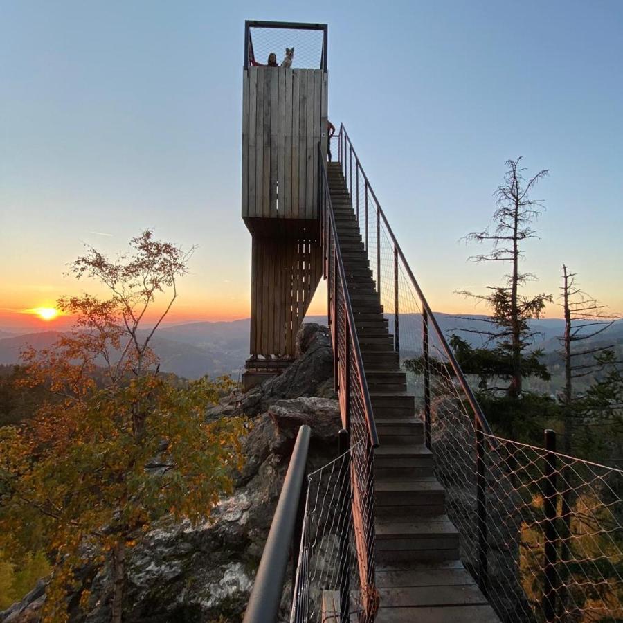 Čertovka Trojka - apartmán Harrachov Esterno foto