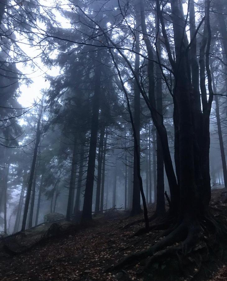 Čertovka Trojka - apartmán Harrachov Esterno foto